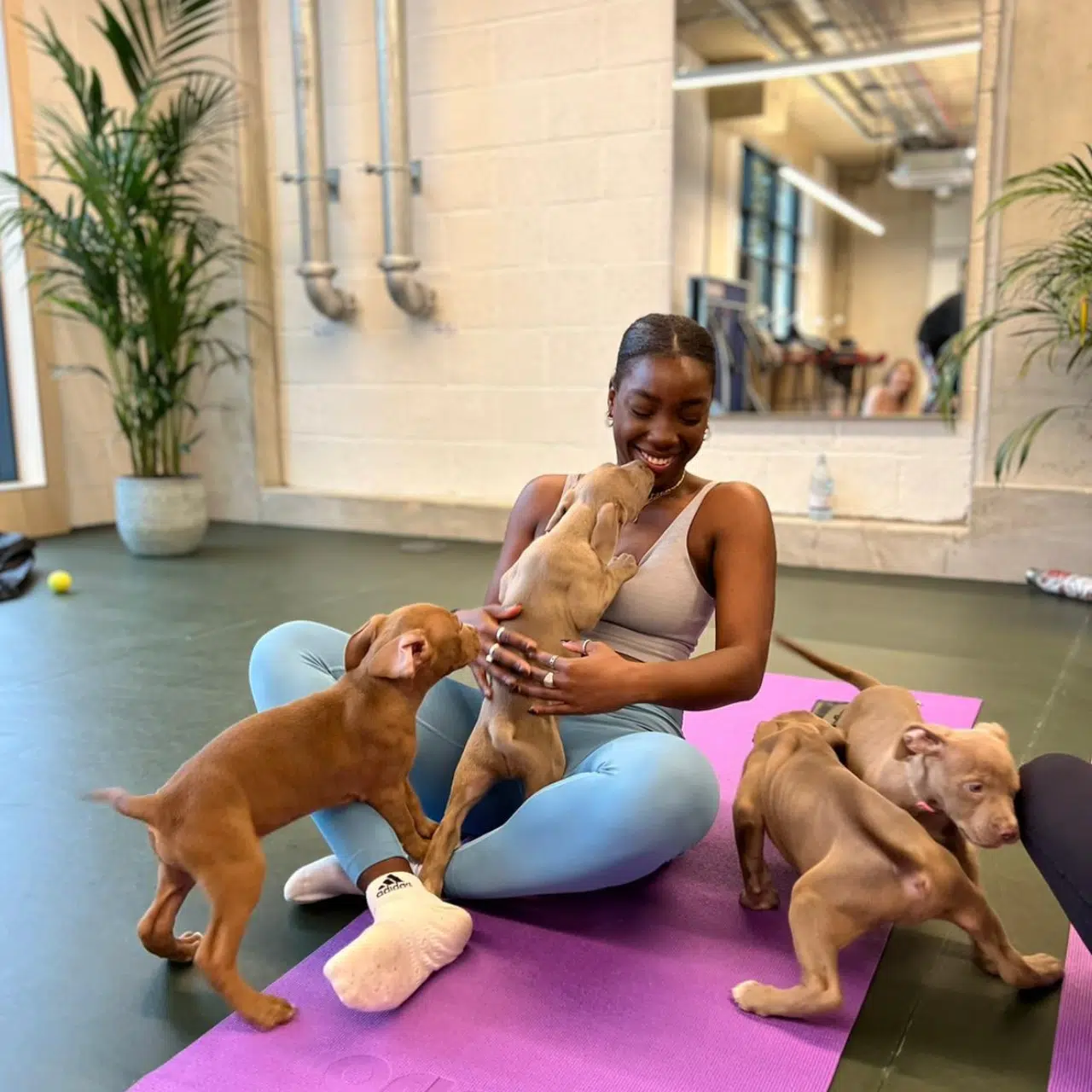 Del Puppy Yoga London Playing With Puppies