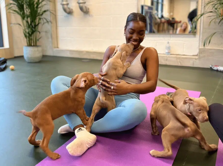Del Puppy Yoga London Playing With Puppies